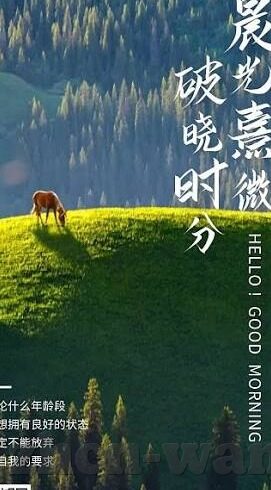 下载开云体育官方网站-下载开云体育，体验顶级体育赛事的魅力
